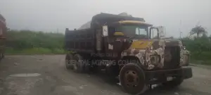 Oriental Mining Company Chippings