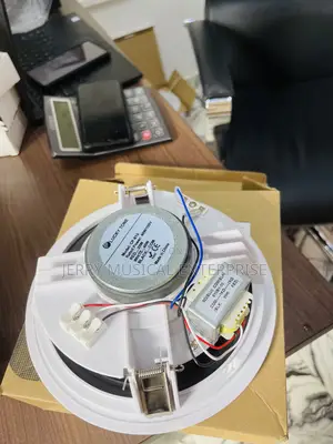 Quality Ceiling Speakers With Woofer