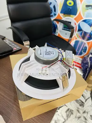 Quality Ceiling Speakers With Woofer