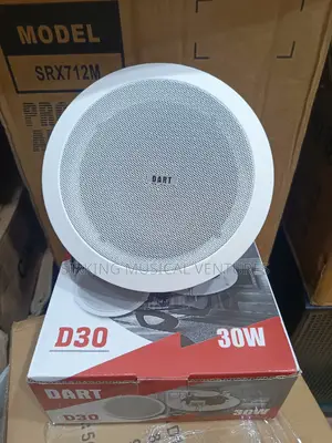 30w Ceiling Speaker Dart