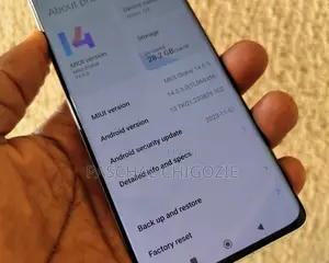 New Xiaomi 12X 256 GB