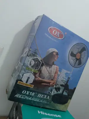 Rechargeable Standing Fan With Remote Control