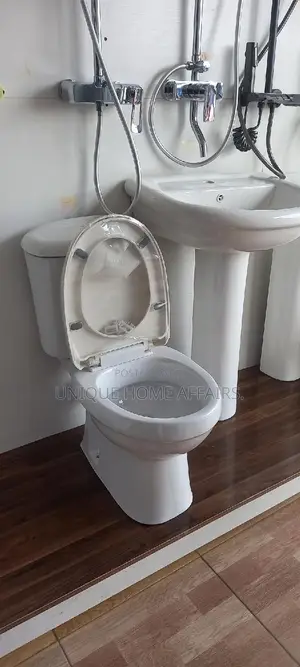 Bangkok Dual Flush WC