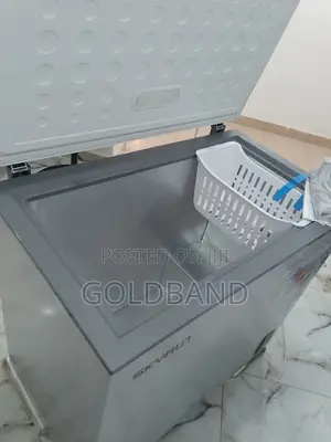 Efficient Skyrun 200l Bd-200a Chest Freezer
