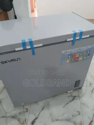 New Efficient Skyrun 200l Bd-200a Chest Freezer