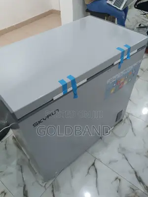 High Quality Skyrun 200l Bd-200a Chest Freezer