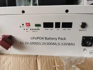 5kw 48v Pattern Lithium Batteries With Smart BMS