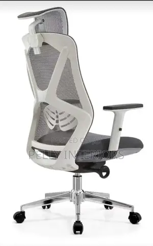 Executive Office Chair With Headrest
