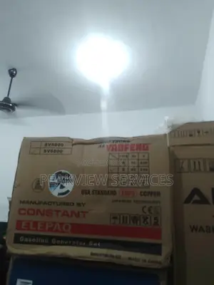100% Attractive Elepaq Constant Sv6800 Generator 4.5kva