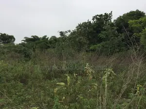 500 Acres of Land for Sale at Killa at Cheap Price Ogun State