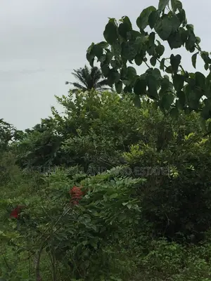 300 Acres of Land for Sale at Cheap Price Two Hundred Thousa