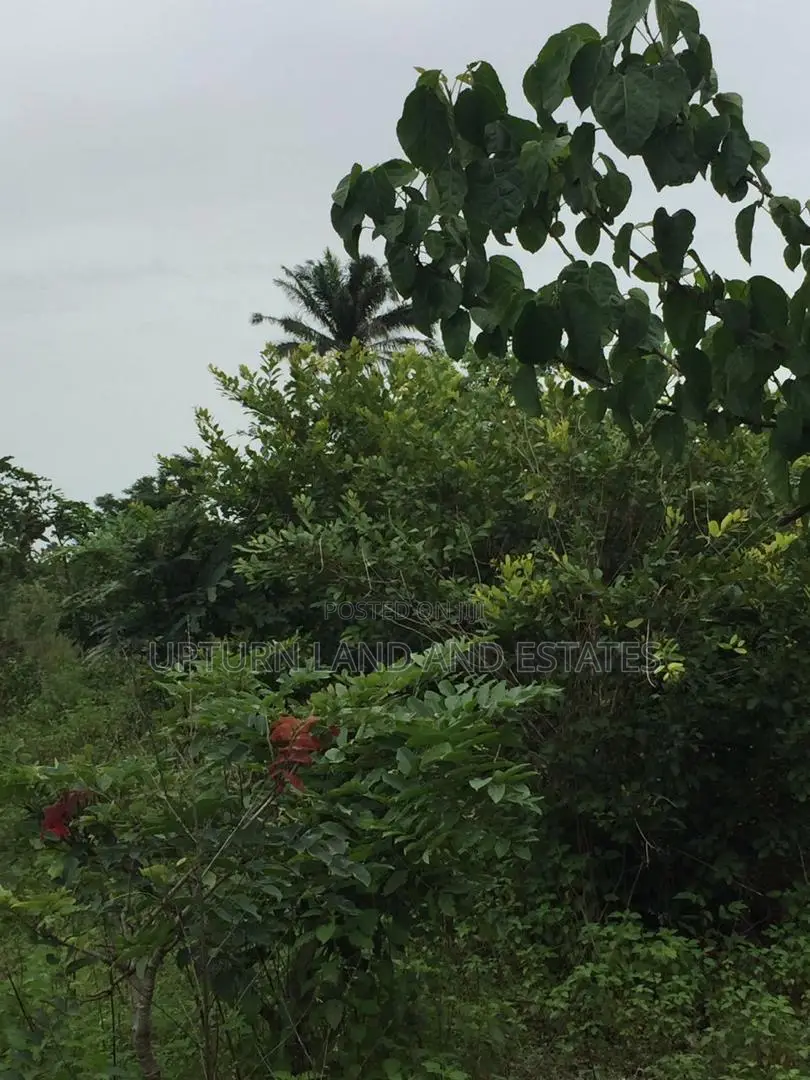 300 Acres of Land for Sale at Cheap Price Two Hundred Thousa