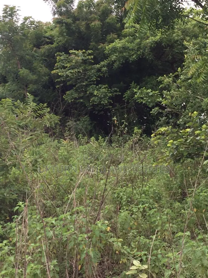 300 Acres of Land for Sale at Cheap Price Two Hundred Thousa