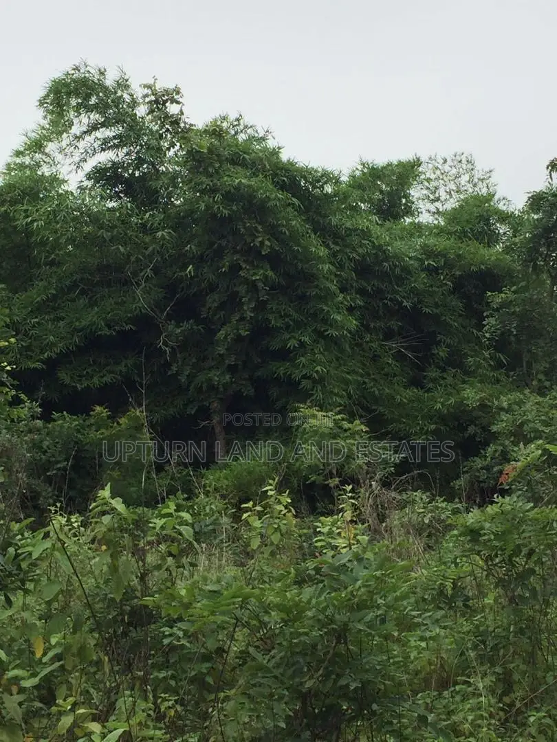 300 Acres of Land for Sale at Cheap Price Two Hundred Thousa