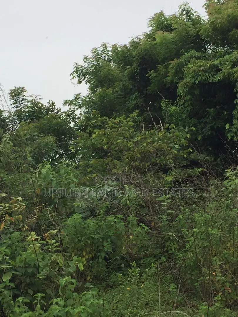 300 Acres of Land for Sale at Cheap Price Two Hundred Thousa