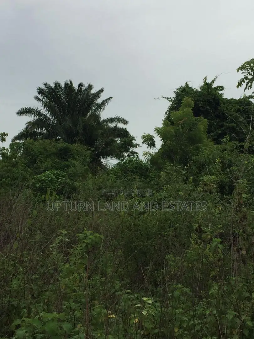 100 Acres of Land for Sale at Kugba Ogun State at Cheap