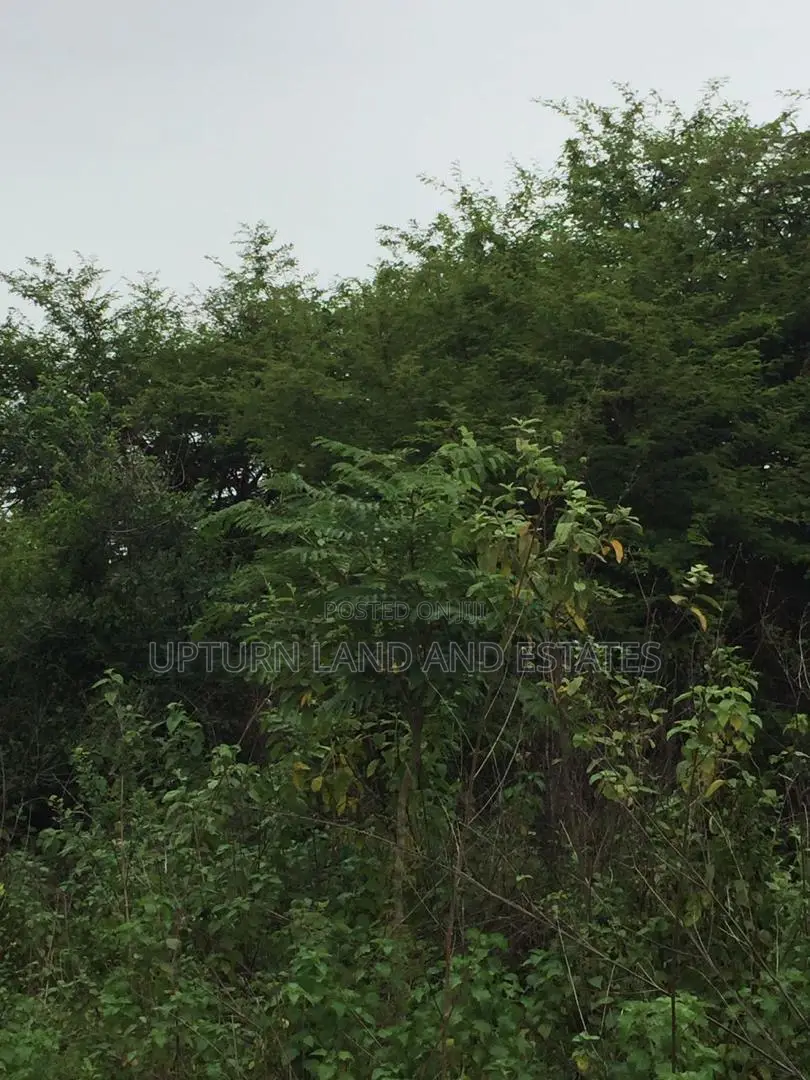 100 Acres of Land for Sale at Kugba Ogun State at Cheap