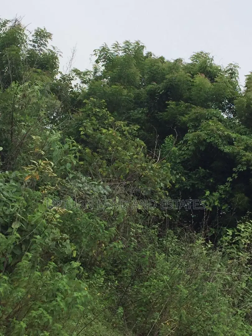 100 Acres of Land for Sale at Kugba Ogun State at Cheap