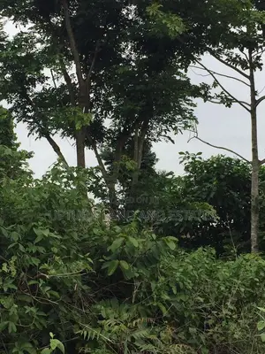 1000 Acres of Land for at Odeda at Cheaper Price
