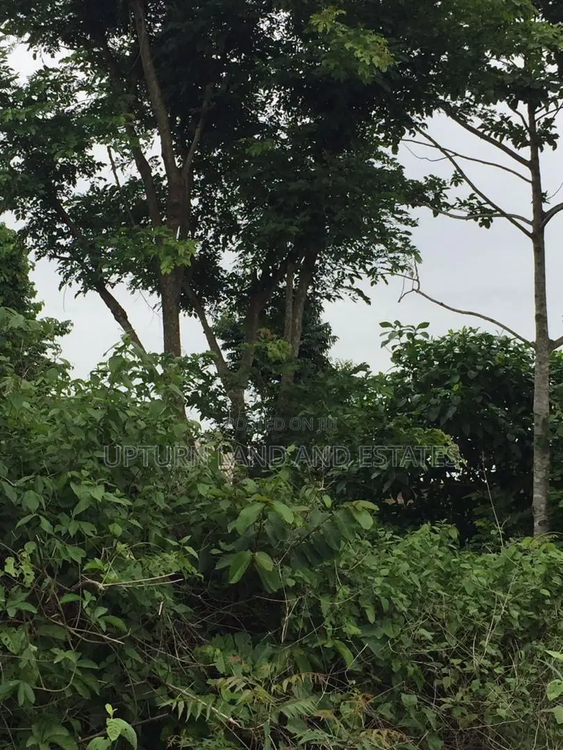 1000 Acres of Land for at Odeda at Cheaper Price
