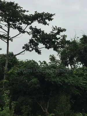 1000 Acres of Land for at Odeda at Cheaper Price