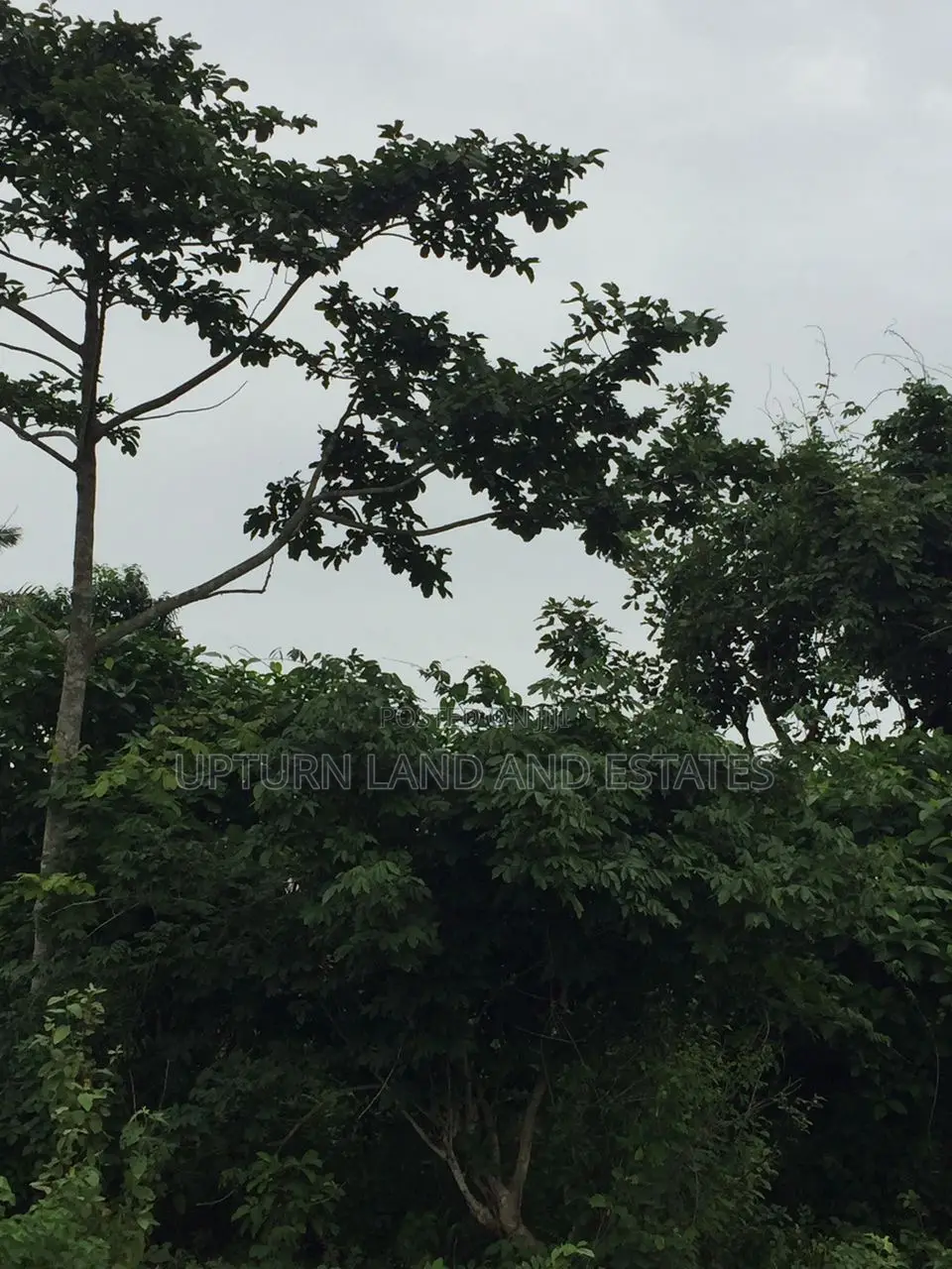 1000 Acres of Land for at Odeda at Cheaper Price