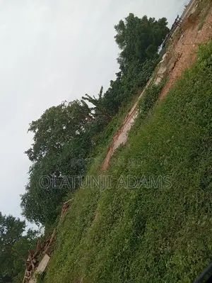 20acres of Land Direct Opposite Osogbo) Iwo Road