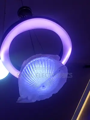 Classic Beautiful Single Led Dropping Chandelier Light