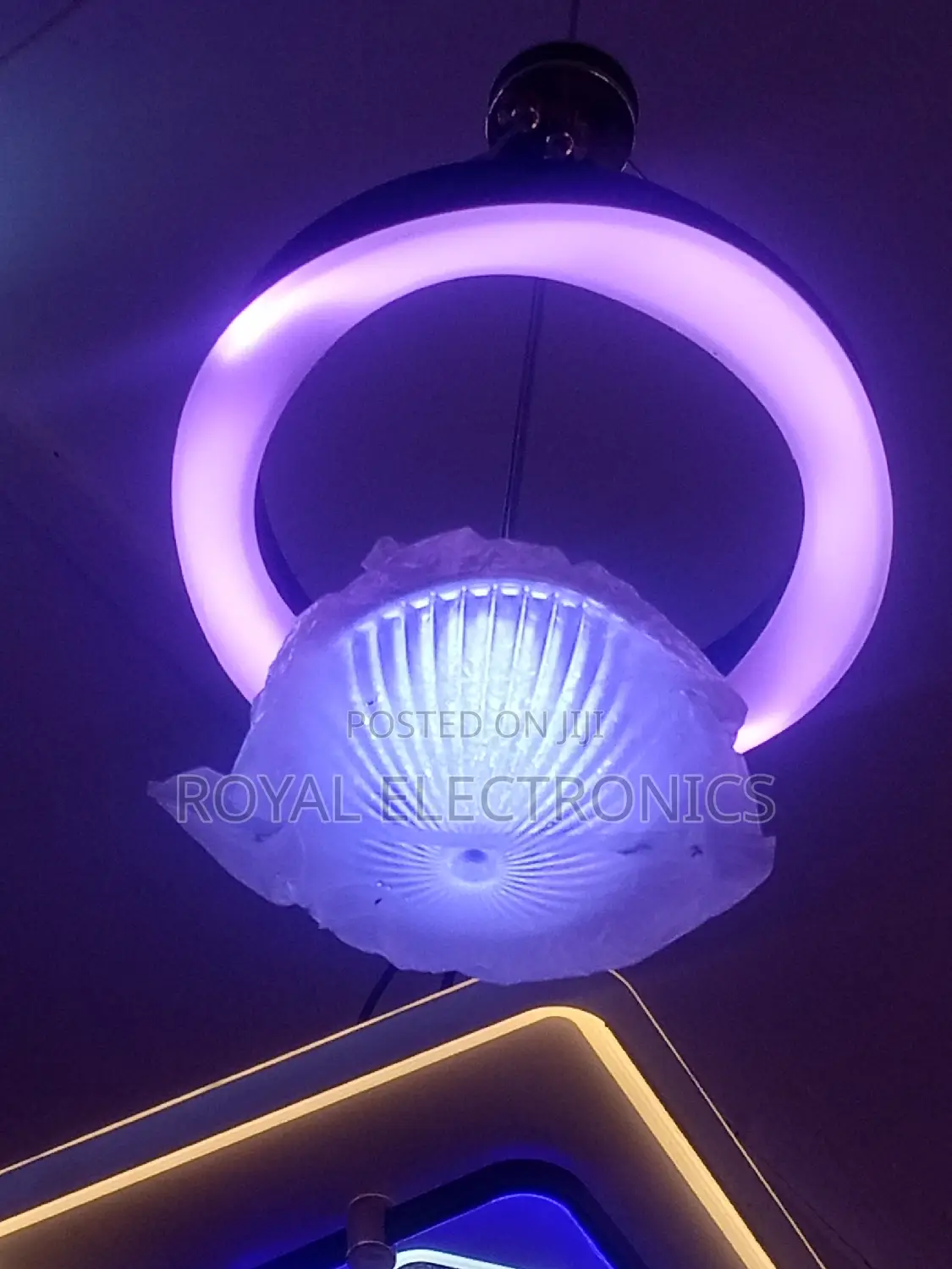 Authentic New Beautiful Single Led Dropping Chandelier Light