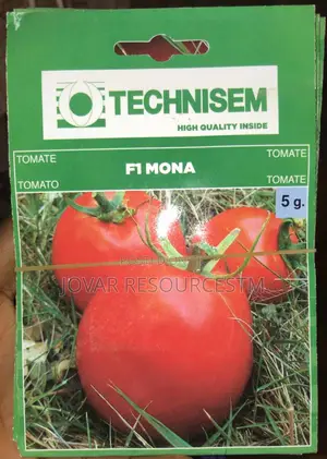 Best Tomato Seeds