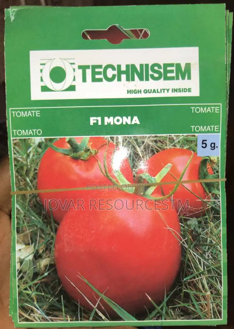 Best Tomato Seeds