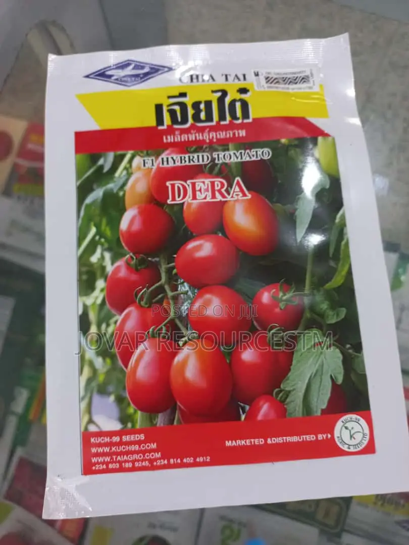 Best Tomato Seeds