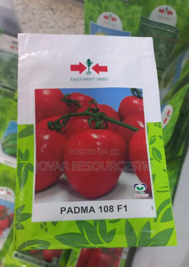 Best Tomato Seeds