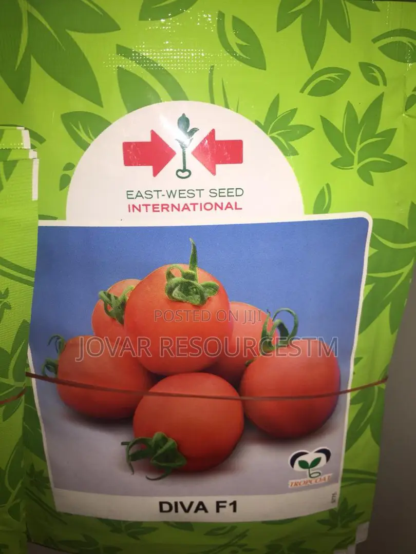 Best Tomato Seeds