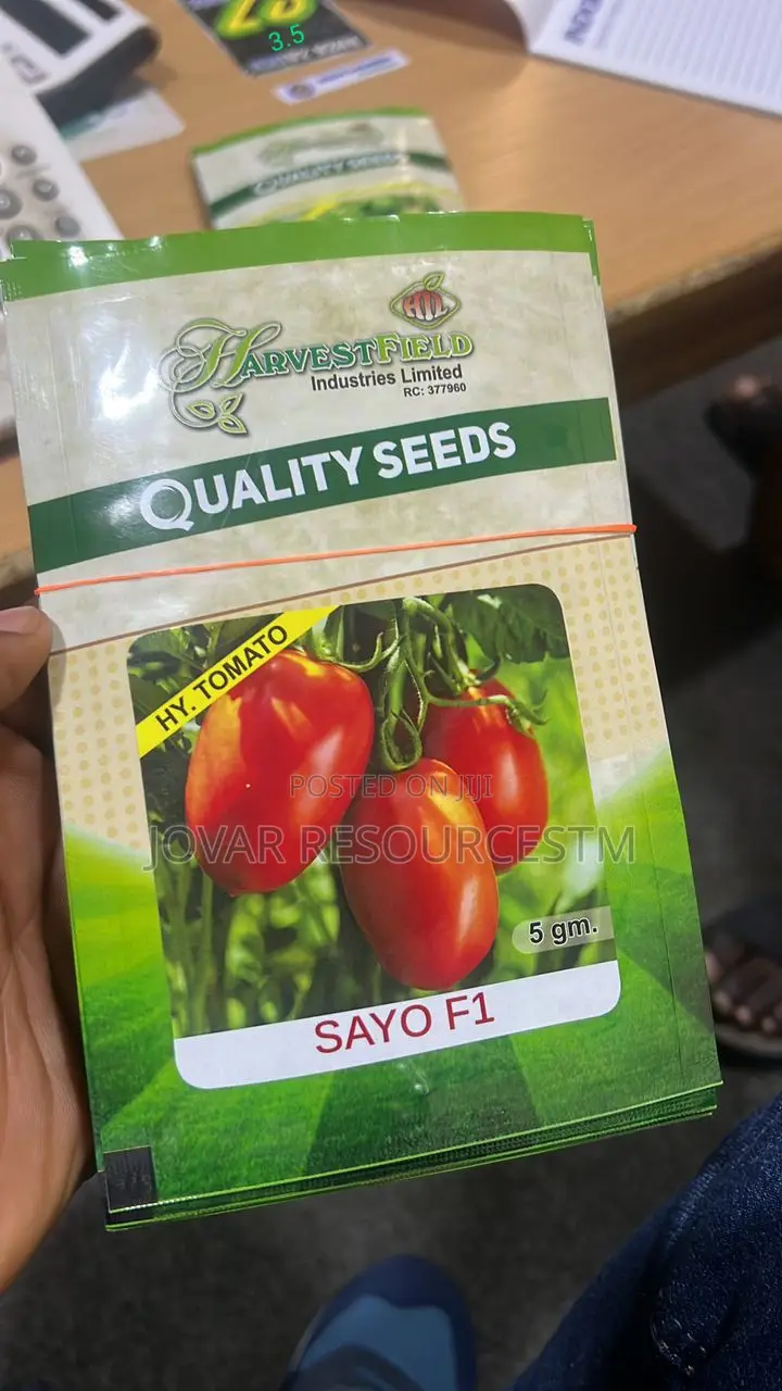 Best Tomato Seeds