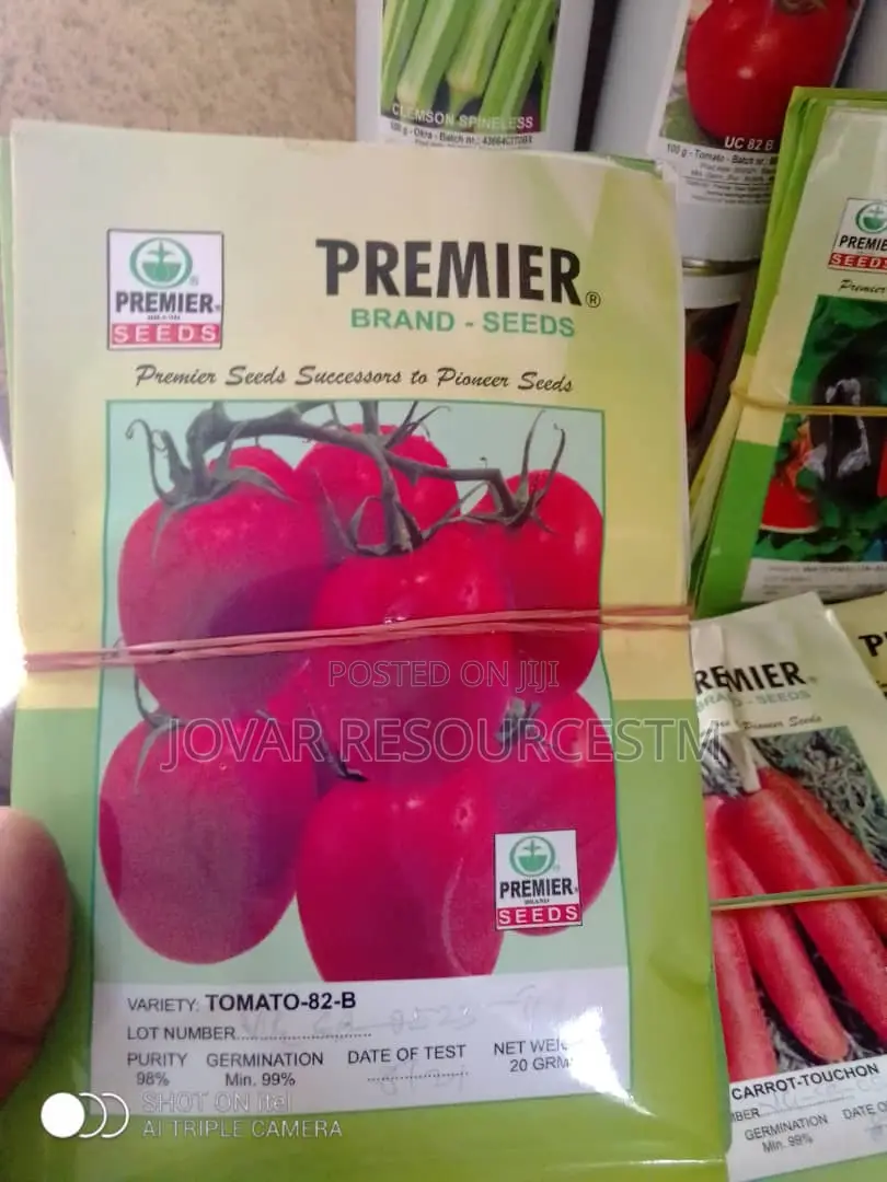 Best Tomato Seeds