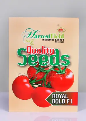 Best Tomato Seeds