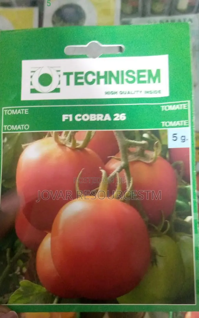 Best Tomato Seeds