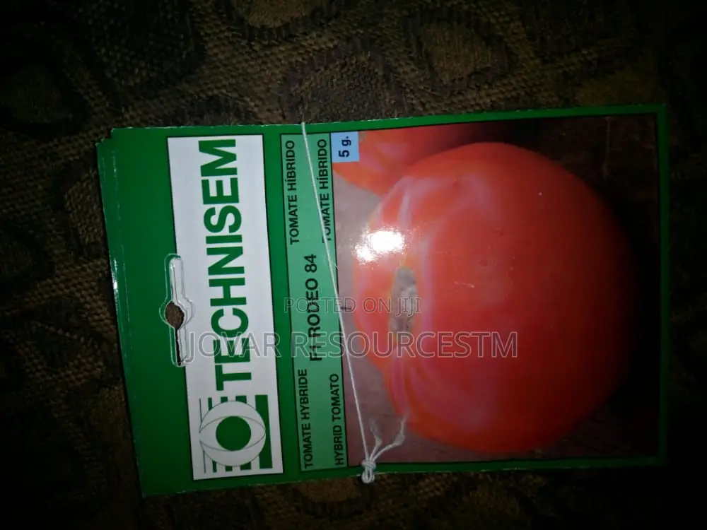 Best Tomato Seeds