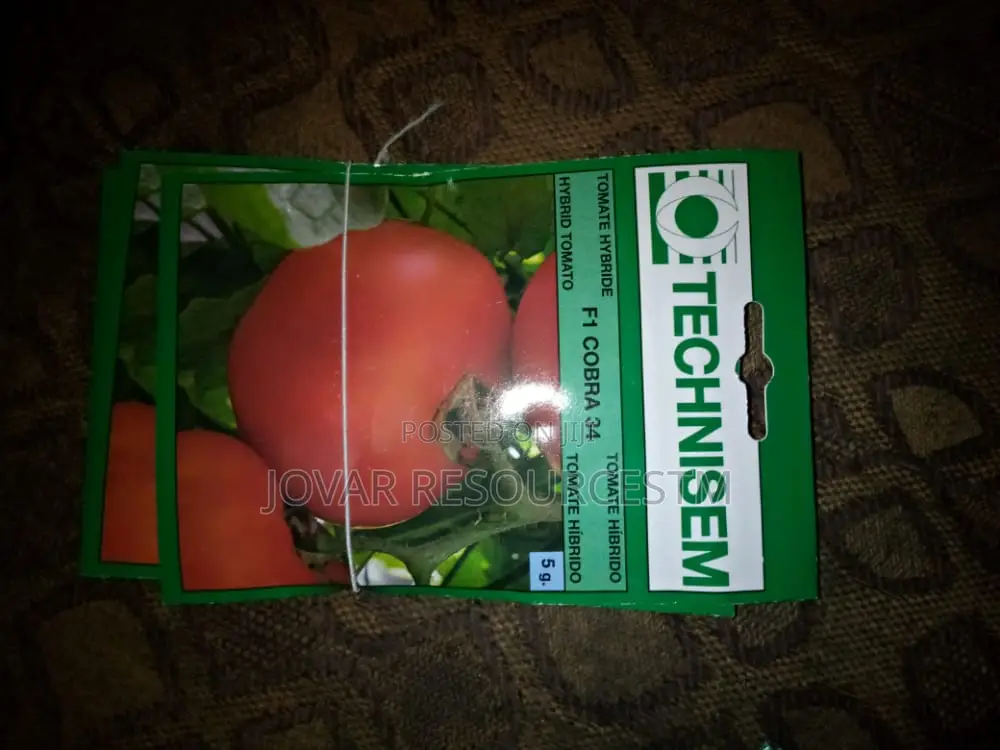Best Tomato Seeds
