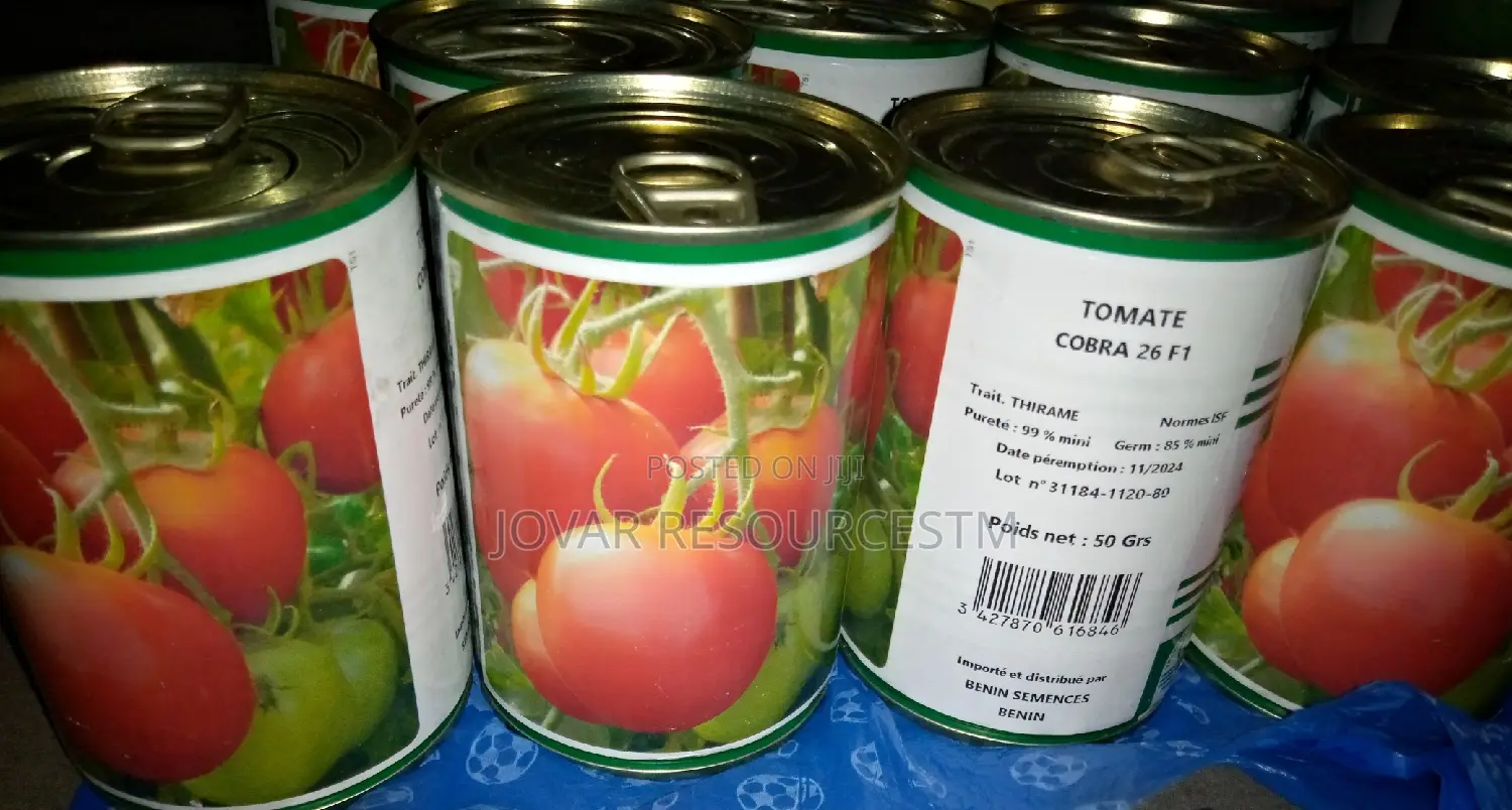 Best Tomato Seeds
