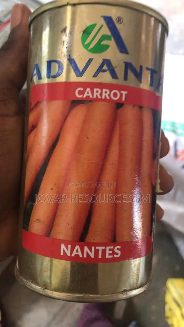 Best Improved Carrot Seeds