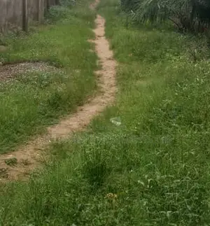 Lovely and Dry Mixed Use Land Selling at Ado Road,Ajah