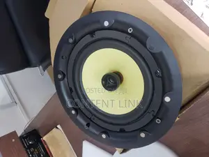 Good Quality 40watts Subwoofer Ceiling/Pop Speakers