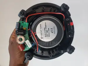 Good Quality 40watts Subwoofer Ceiling/Pop Speakers