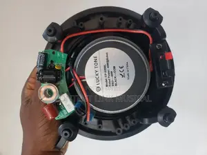 Good Quality 40watts Subwoofer Ceiling/Pop Speakers