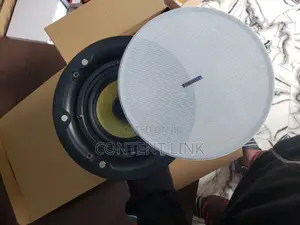 Original 40watts Subwoofer Ceiling/Pop Speakers