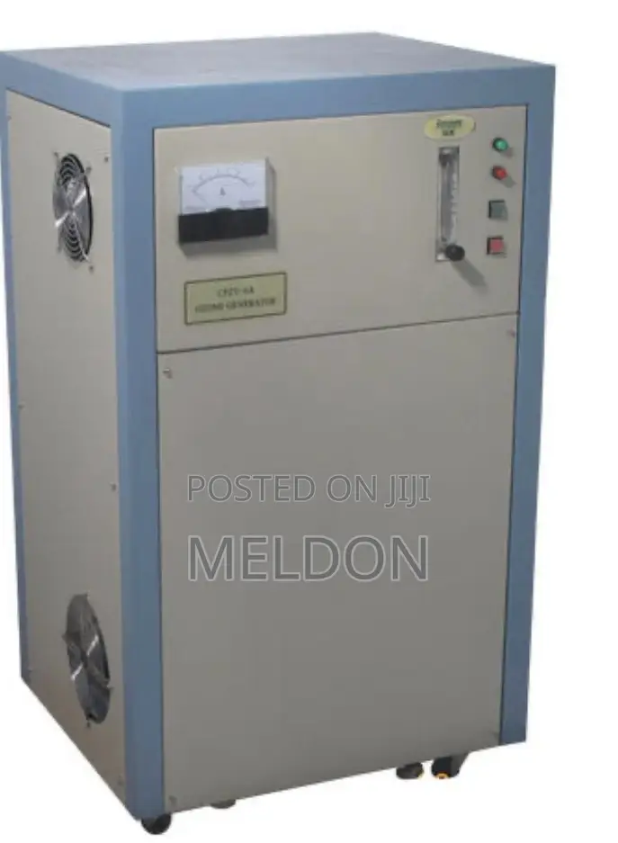Ozone Generator 12g Dingli