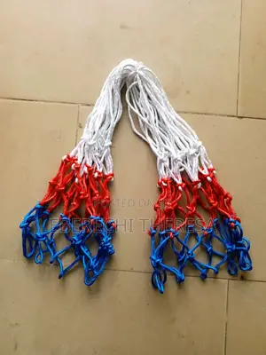 2 in 1 Basketball Net