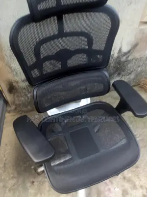Brand New Ergonomic Mesh Chair